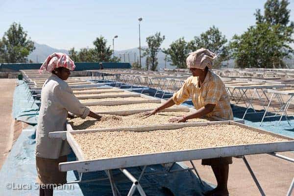 koffie-met-een-ziel-jeanne-gennar-india