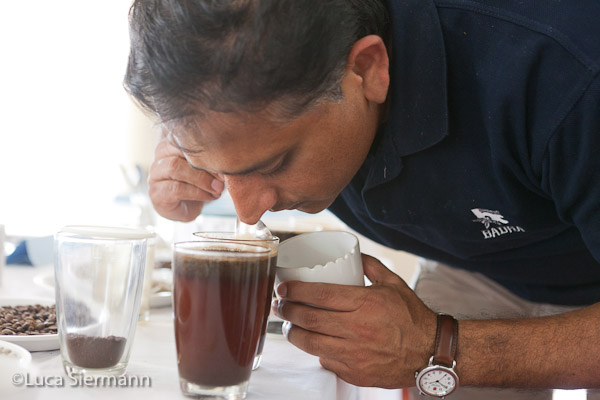 koffie jeanne gennar indië badra estate Jacob Mammen cupping (1)