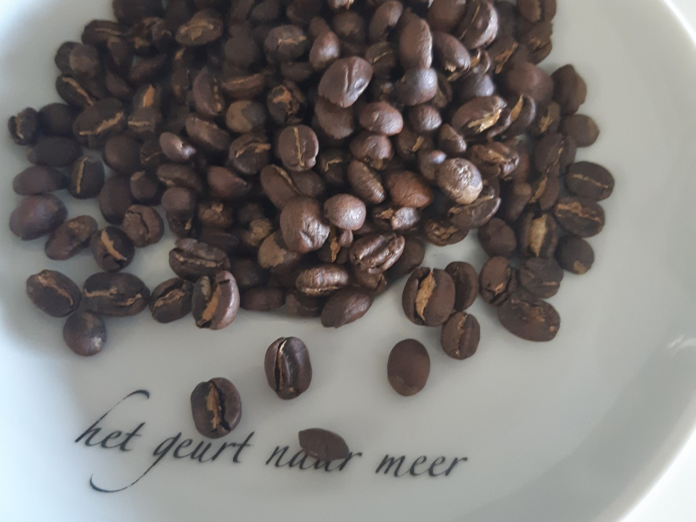 jeanne gennar eindejaar koffie coffee jeanne gennar eindejaar koffie coffee